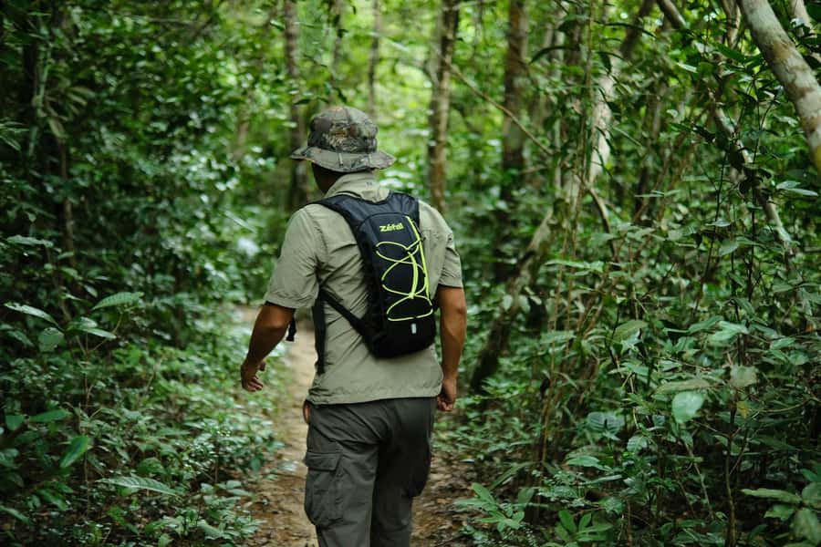 Khao Sok: Private Day Trekking, Jungle Dinner & Night Safari - Afternoon pickup, then straight into Khao Sok National Park