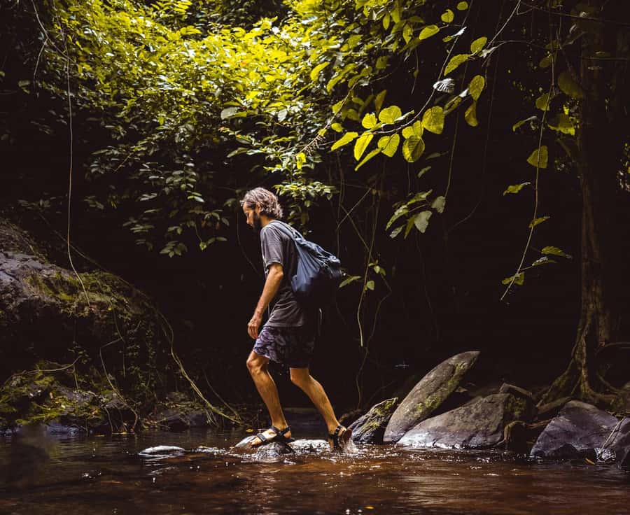 Khao Sok: Private Day Trekking, Jungle Dinner & Night Safari - Wildlife expectations: the park is about small wonders and guide skill