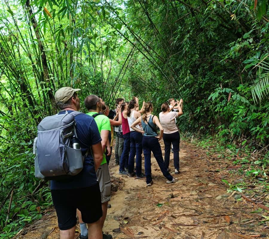 Khao Sok: Private Day Trekking, Jungle Dinner & Night Safari - Price and value: $192 for up to 2 people—what you’re paying for