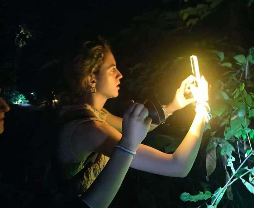 Khao Sok: Private Night Safari Adventure w/ Hotel Transfer - Private vs Shared: Choosing the Crowd Level (and Your Odds)