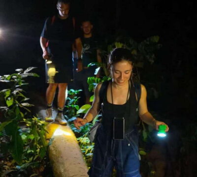 Khao Sok: Private Night Safari Adventure w/ Hotel Transfer - The 150-Minute Adventure: What Happens During the Night Walk