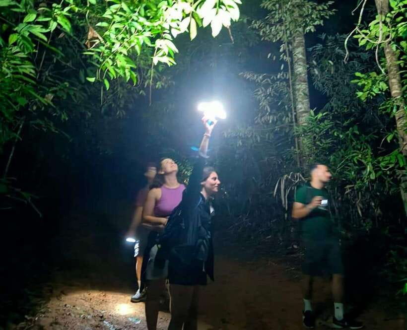 Khao Sok: Private Night Safari Adventure w/ Hotel Transfer - Guides Make or Break Night Safari Fun