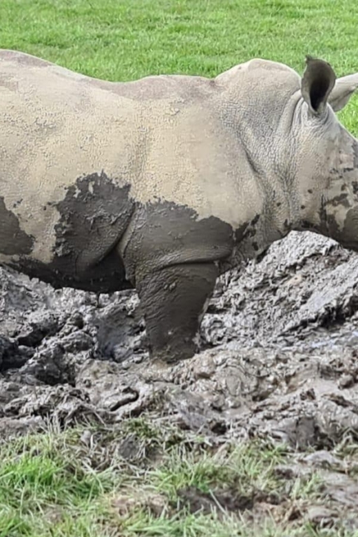 Knowsley: Safari Entry Tickets - Quick hits for a smooth safari day