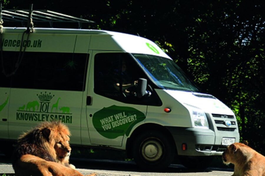 Knowsley: Safari Entry Tickets - Foot safari for giraffes, tigers, meerkats, and sea lions