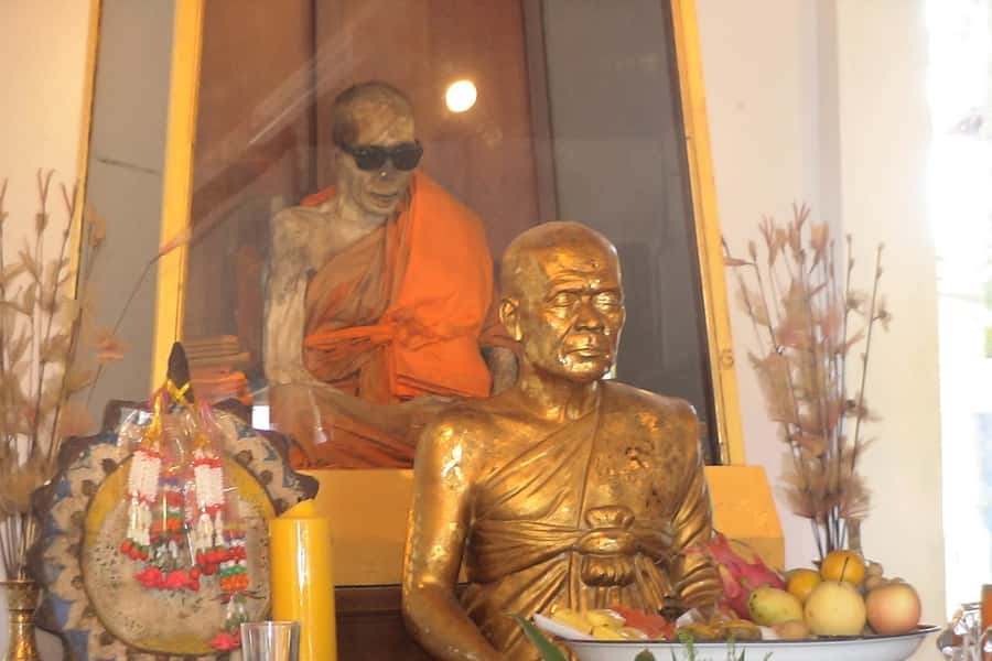 Ko Samui: 4WD Wild Jungle Safari Tour with Lunch - Key Highlights to Look for
