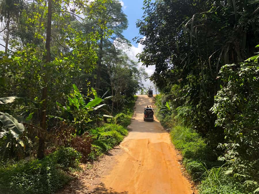 Koh Samui: 4x4 Off Road Island Safari Tour Including Lunch - Wat Teepangkorn and the 360° mountain view (including optional rooftop seating)