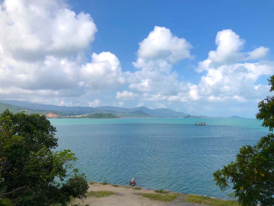 Koh Samui: 4x4 Off Road Island Safari Tour Including Lunch - Lunch at a panoramic restaurant: what you get and what to expect