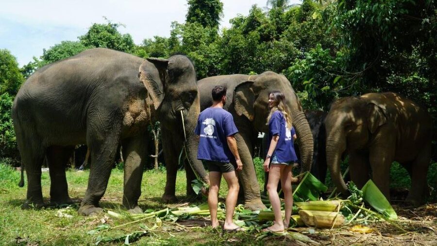Koh Samui: 4x4 Sightseeing Safari & Elephant Sanctuary Tour - Mountain viewpoints first: 360° Koh Samui from the jeep