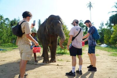 Koh Samui: 4x4 Sightseeing Safari & Elephant Sanctuary Tour - Pickup timing and what the 7-hour day feels like