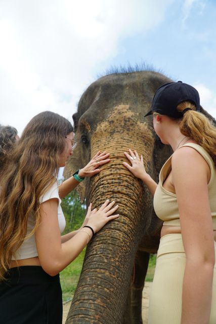 Koh Samui: 4x4 Sightseeing Safari & Elephant Sanctuary Tour - Coconut plantation time and lunch with a view