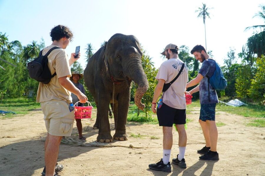 Koh Samui: 4x4 Sightseeing Safari & Elephant Sanctuary Tour - Pickup timing and what the 7-hour day feels like