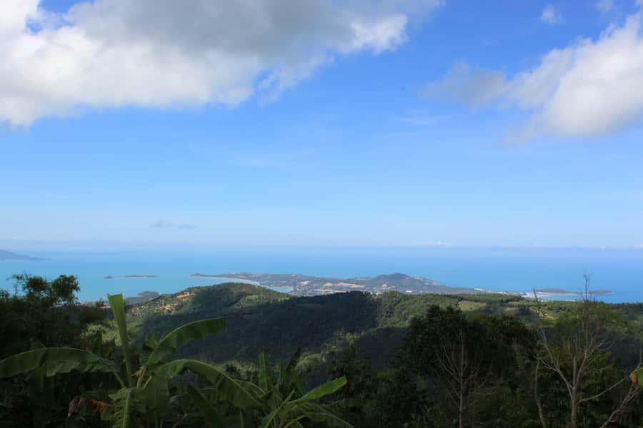 Koh Samui: Mr.Ung's 4WD Wild Jungle Safari Tour with Lunch - Lunch at 360 Restaurant: Thai Food With Mountain-Top Views