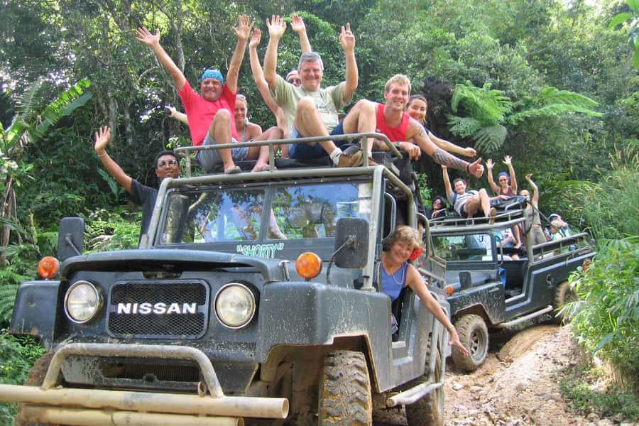 Koh Samui: Mr.Ung's 4WD Wild Jungle Safari Tour with Lunch - Wat Teepangkorn: A Useful Cultural Finisher