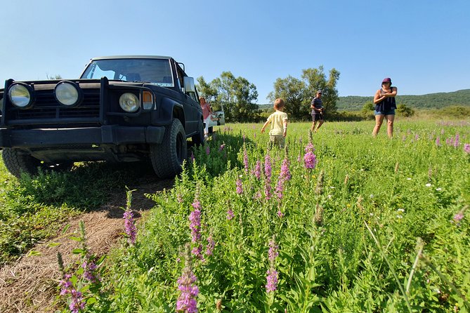 Konavle Jeep Safari Tour from Cavtat with Lunch - What kind of traveler should book this?