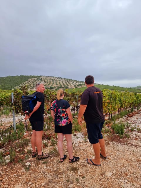 Korcula: Buggy Safari with Local Food and Wine Tasting - Ana’s herb juice, plus domestic food and wine tastings