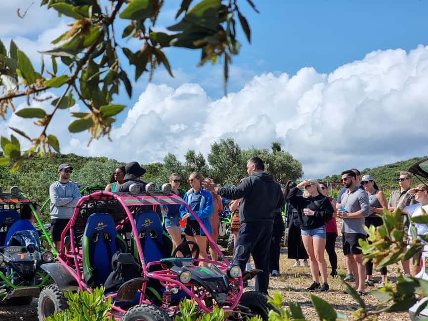 Korcula: Buggy Safari with Local Food and Wine Tasting - Price and value: what $129 really buys you