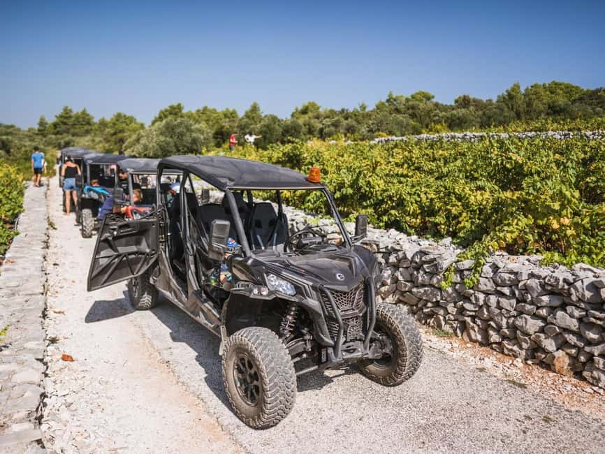 Korcula Buggy Safari With Wine Tasting - The vibe: why this tour works in real life