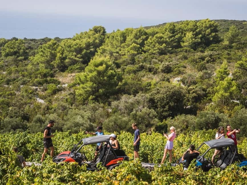 Korcula Buggy Safari With Wine Tasting - The Adria tasting: wine plus the island’s pantry