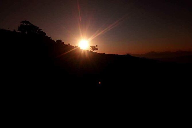 Kos 4x4 Sunset Safari Tour - What you need to know before you go (so the ride stays fun)