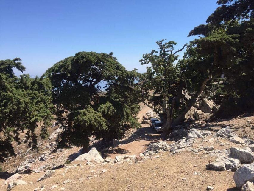 Kos: Full-Day Jeep Safari with Lunch - Key things to know before you book