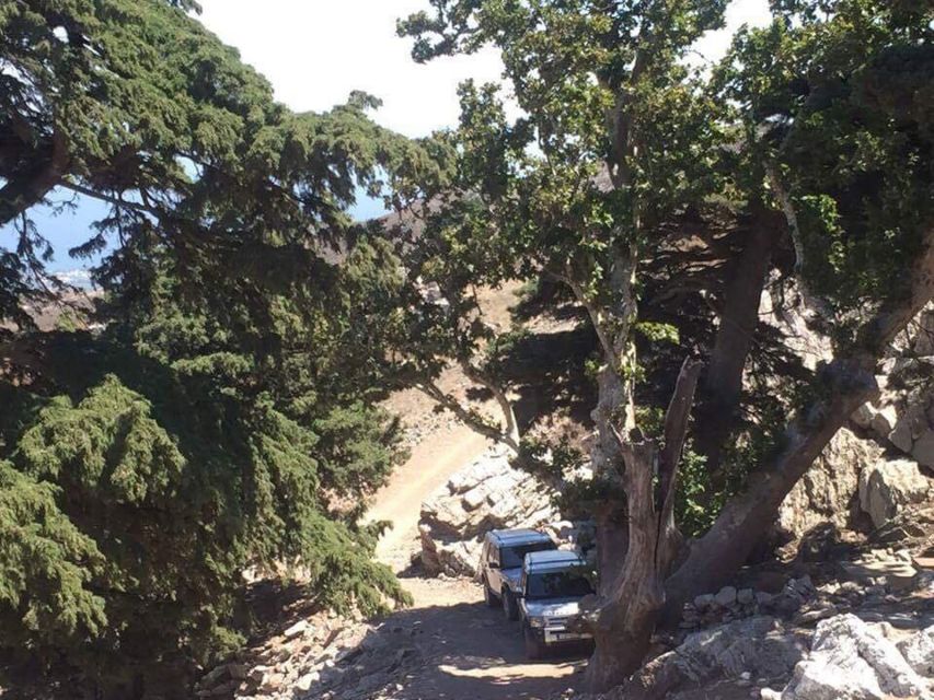 Kos: Full-Day Jeep Safari with Lunch - Lunch in Zia: moussaka with views, not just food