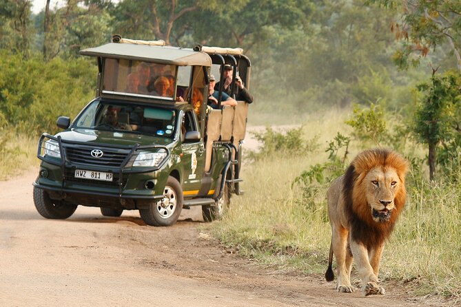 Kruger National Park Afternoon Private safari - A 5-hour private drive in Kruger from Hazyview