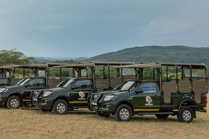 Kruger National Park Afternoon Private safari - Big Five and the small moments that make it worth it
