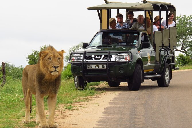 Kruger National Park Afternoon Private safari - What’s included vs. what you’ll pay on the day