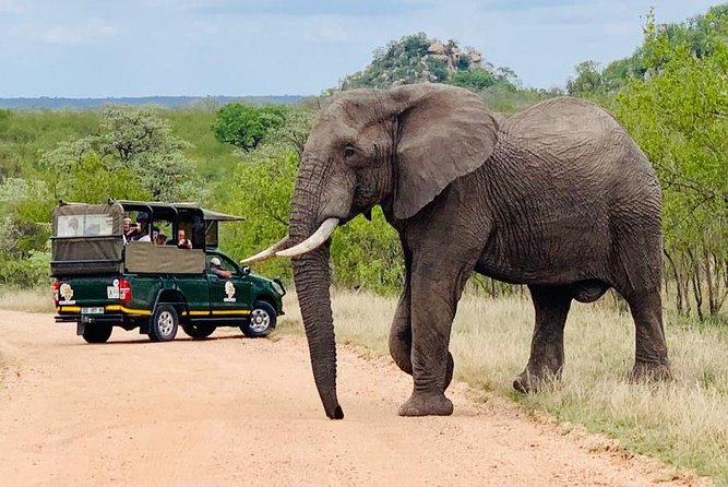 Kruger National Park Full Day Private safari - Key Highlights You’ll Notice Right Away