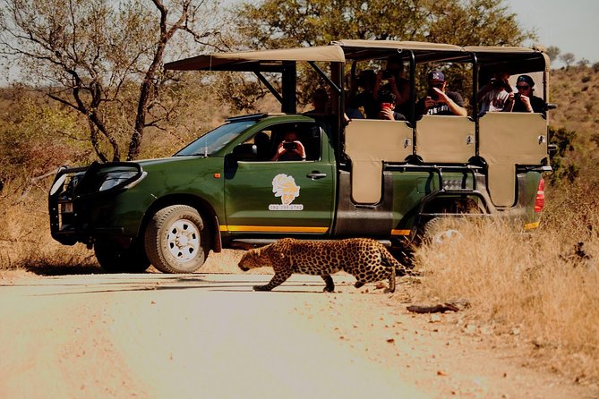 Kruger National Park Full Day Private safari - Why This Private Kruger Safari Feels Easier Than a Shared Ride