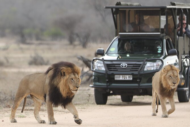 Kruger National Park Full Day Private safari - Big Five Chances and Other Wildlife You Can Aim For