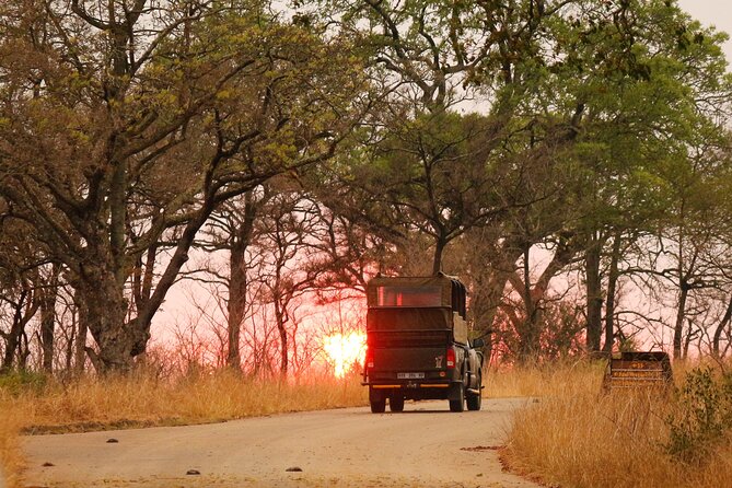 Kruger National Park Full Day Private safari - Photo Stops: How to Get the Shot Without Wasting Time