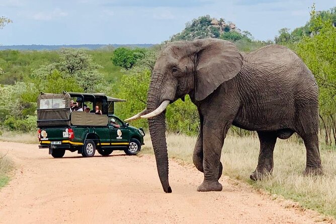 Kruger National Park Full Day Private safari - Price and Value: Is $158.16 Per Person Fair?