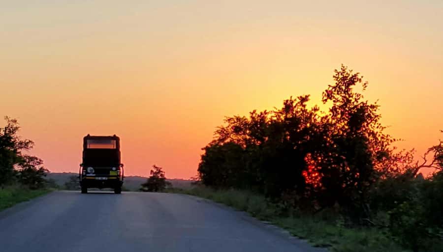 Kruger National Park: Full-Day Private Safari With Pickup - Open safari vehicle time: comfort, photos, and the tradeoffs