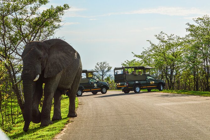 Kruger National Park Full Day Private safari - The 5:30 am Pickup From Hazyview: Why It Matters