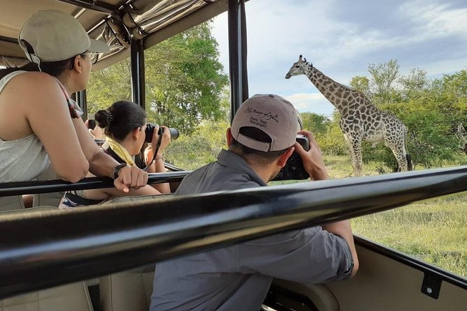 Kruger National Park Morning Safari 2 people minimum - What You’re Really Buying With a Private Safari