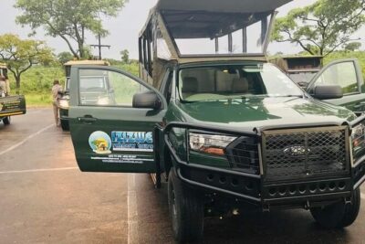Kruger National Park, Safari Game Drive. - Your 8-hour plan: what to expect from the day’s flow