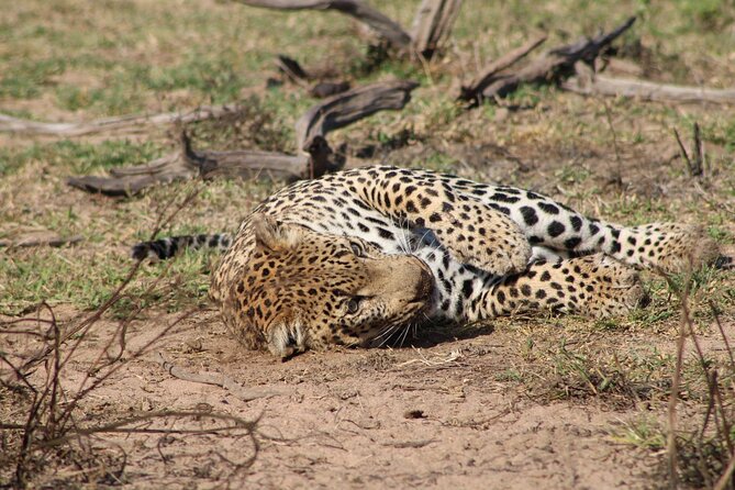 Kruger National Park, Safari Game Drive. - Weather and heat: how to plan when the park is doing its own thing