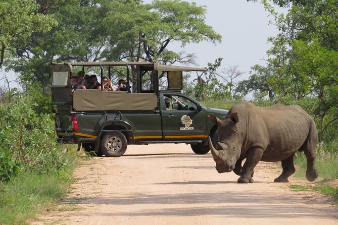Kruger National Park sunrise Morning Private safari - Key things to know before you book
