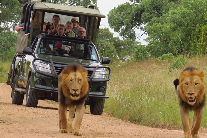 Kruger National Park sunrise Morning Private safari - Why this 5:30am Kruger drive feels special