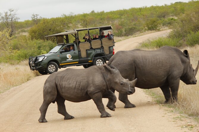 Kruger National Park sunrise Morning Private safari - Value check: $131.13 per person and what you’re really paying for