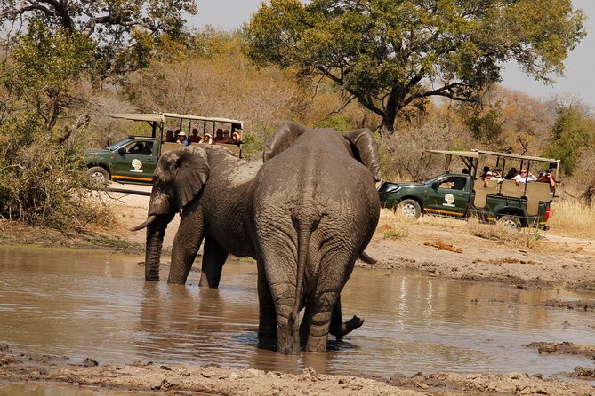 Kruger National Park sunrise Morning Private safari - Getting from Hazyview to the park gates without stress