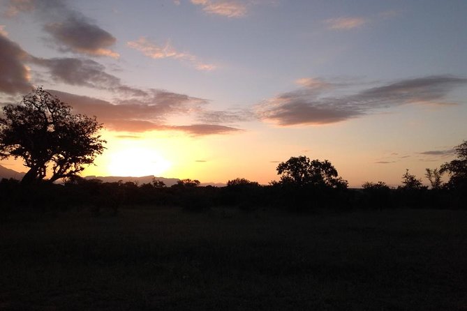 Kruger Park Safari: Guided Day Tour from Nelspruit - Wildlife You’ll Actually Notice (If You Know What to Watch)