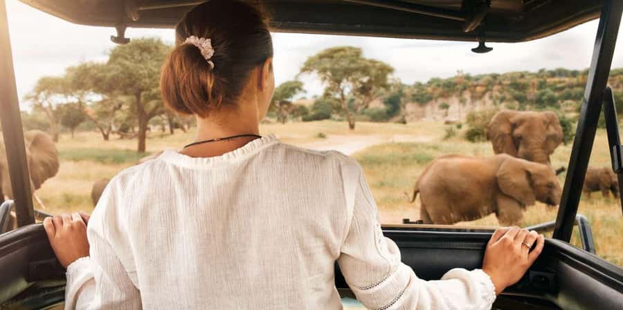 Kruger Park Scheduled Full day Safari Drive from Hoedspruit - Key points to know before you go