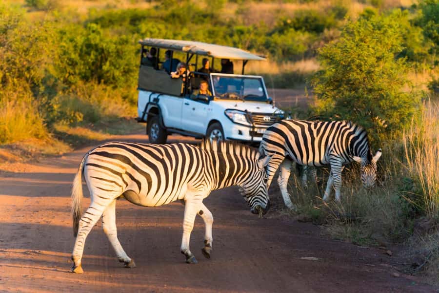 Kruger Park Scheduled Full day Safari Drive from Hoedspruit - Morning game drive and Orpen-area savannah: what you’re chasing