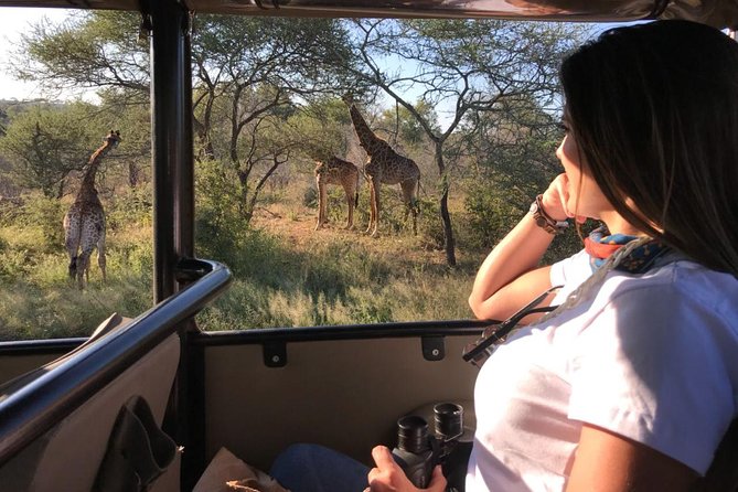 Kruger Safari Tour - Full Day - Big Five chances—and the value of aiming beyond them