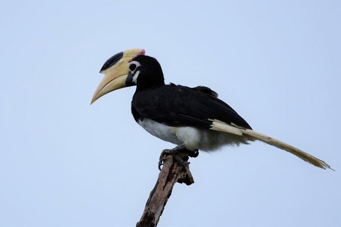 Kumana National park Full day safari - What you can actually look for in Kumana National Park