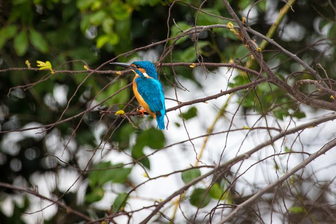 Kumana National park Full day safari - Jeep safari realities: making the most of long hours