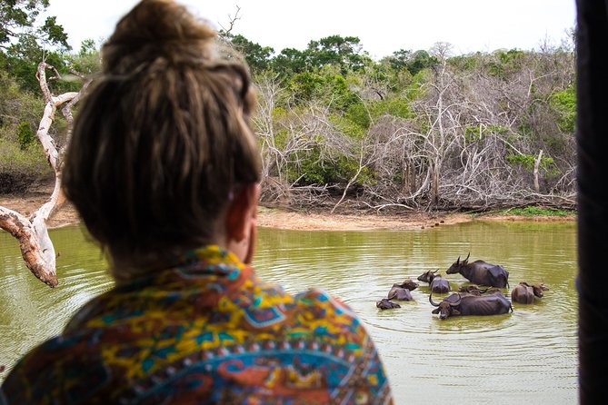 Kumana National Park Half Day Jeep Safari - Inside the safari: what you can expect to spot in Kumana