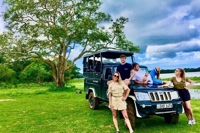 Kumana National Park Half Day Jeep Safari - Who this safari suits best (and who might want a different plan)